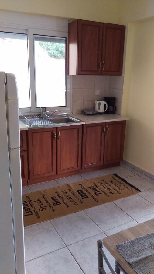 Dimitris & Vassiliki'S Apartment ポッシディ エクステリア 写真